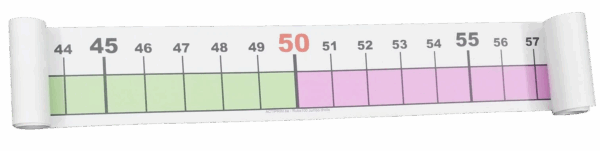 Ruba100 Jumbo-droite