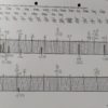 Rubanombre décimal fichier – Image 2