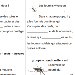 Lecture débutant : les insectes